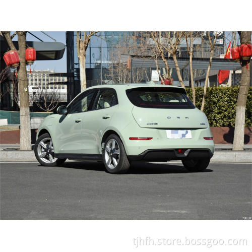 2023 ORA Good Cat 401 km Ternary Litio Batteria a 5 sedili Berlina elettrica